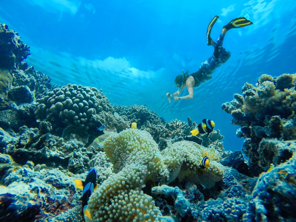 Free,Diver,Girl,Takes,Underwater,Photos,Of,A,Beautiful,Coral